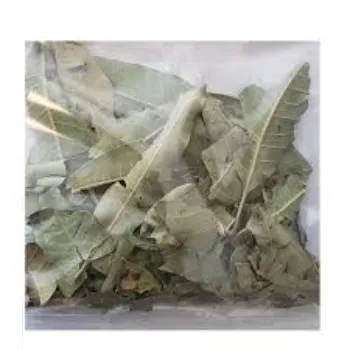 Healthy Dry Mango Leaves